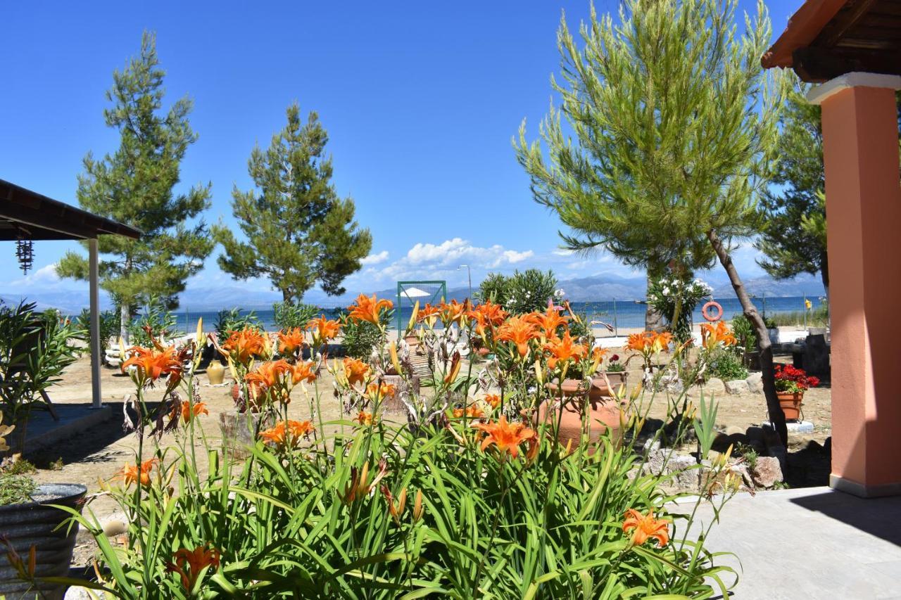 Bouka Beachfront Bungalows Agios Nikolaos  エクステリア 写真